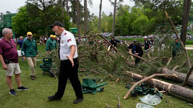 augusta trees fall